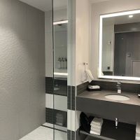 The Rose Hotel Chicago O’Hare, Tapestry Collection by Hilton ico