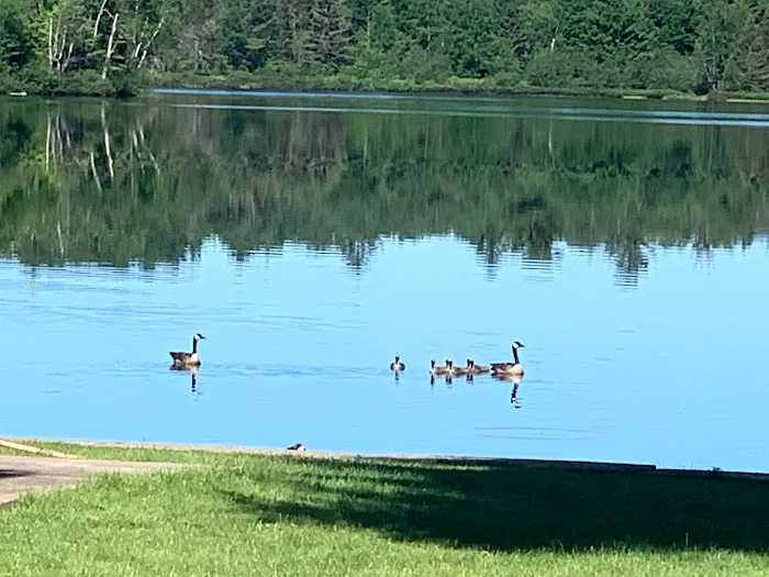 Ruth Lake Resort Upper Michigan 4