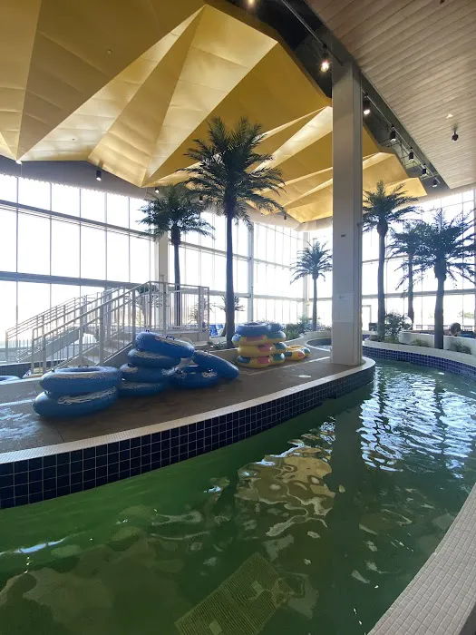 Treasure Island Resort & Casino 4