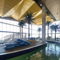 Treasure Island Resort & Casino ico