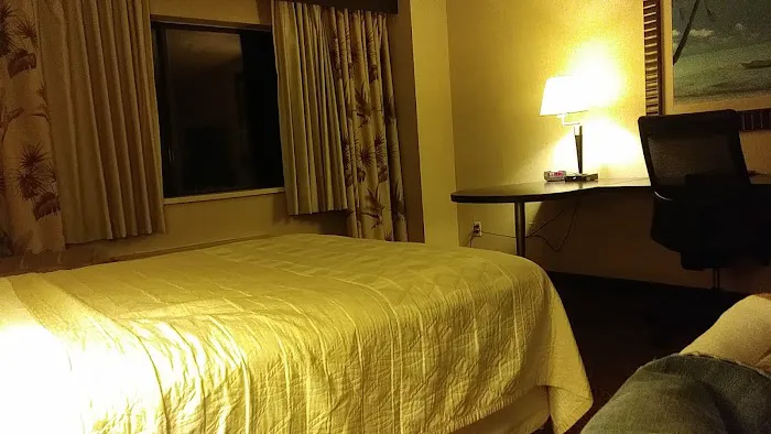 Treasure Island Resort & Casino 4