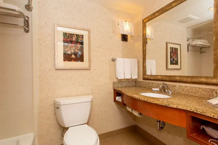Hilton Garden Inn Cedar Falls 4
