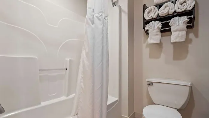 Best Western Plus O'Hare International South Hotel 4