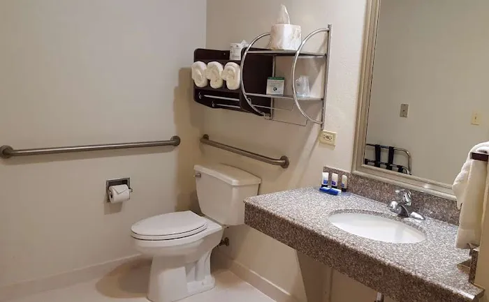 Best Western Plus O'Hare International South Hotel 4