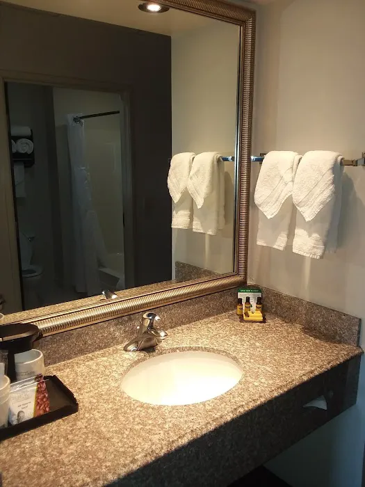Best Western Plus O'Hare International South Hotel 4
