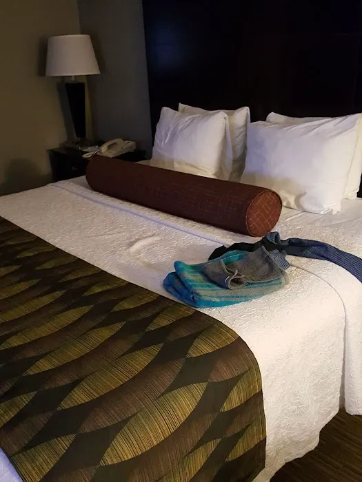 Best Western Plus O'Hare International South Hotel 4