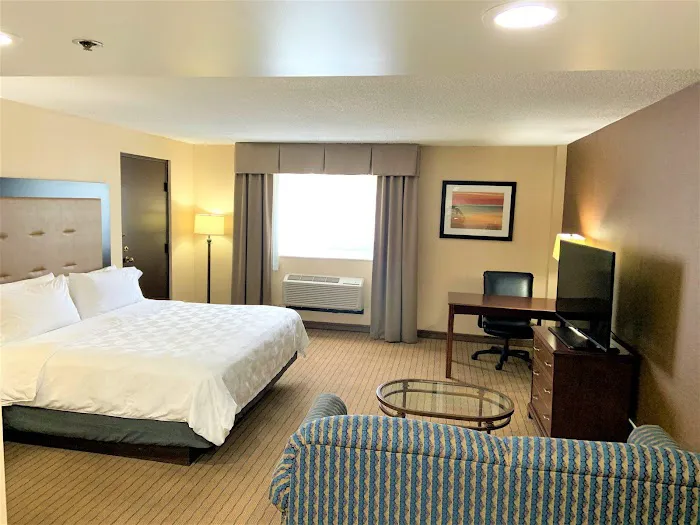 Holiday Inn & Suites Chicago-Carol Stream (Wheaton) by IHG 4