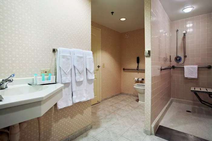 Hilton Chicago/Oak Brook Suites 4