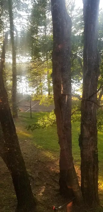 Froelich's Sayner Lodge on Plum Lake in Vilas County 4