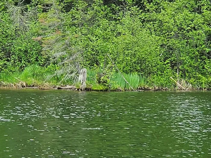 Fish Trap Lake Resort 4