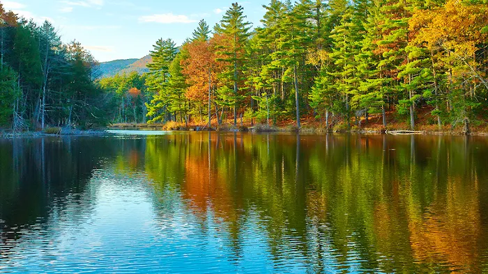 Sunrise Resort & Campground 4