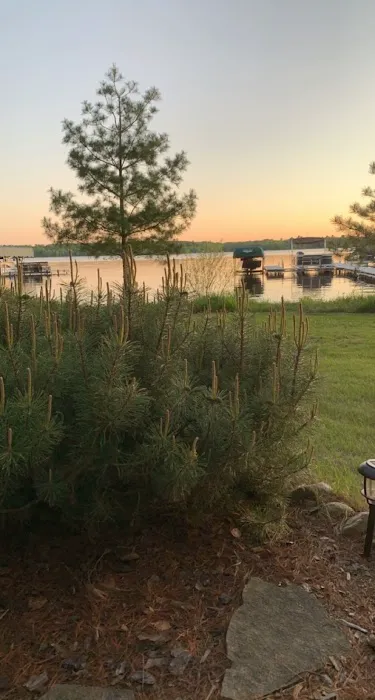 Black Mallard Resort 4