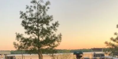 Black Mallard Resort