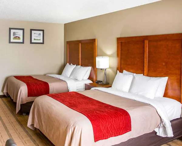 Comfort Inn & Suites Coralville - Iowa City near Iowa River Landing 4