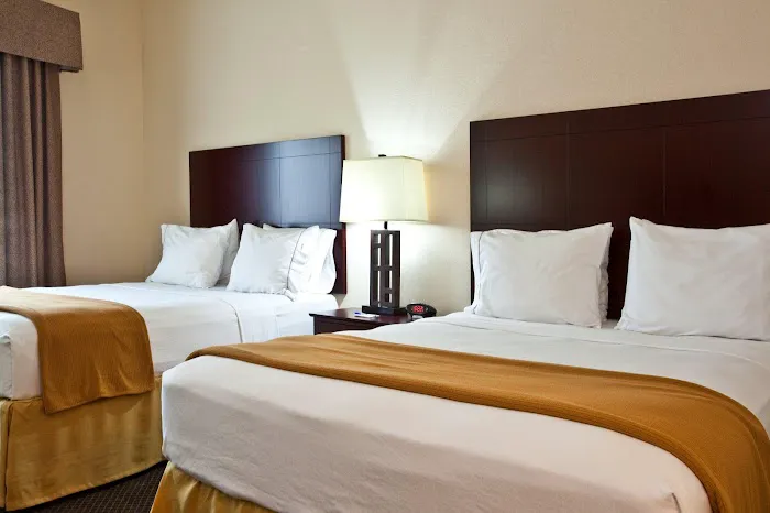 Holiday Inn Express & Suites Chicago West-O'Hare Arpt Area by IHG 4