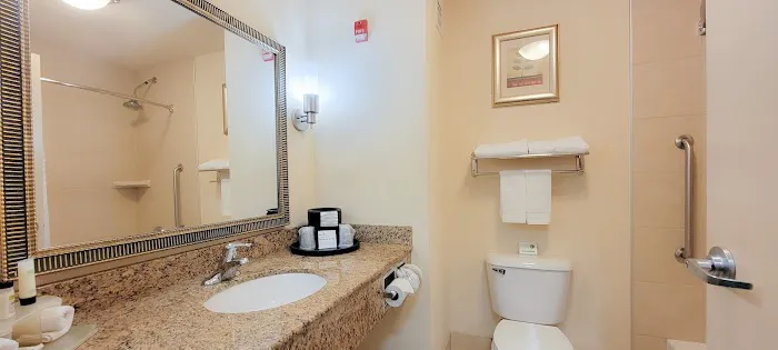 Holiday Inn Express & Suites Chicago West-O'Hare Arpt Area by IHG 4