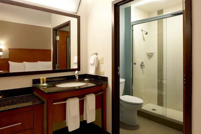 Hyatt Place Chicago/Lombard/Oak Brook 4