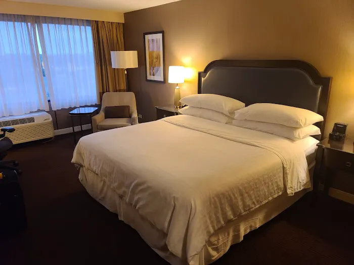 Sheraton Lisle Naperville Hotel 4