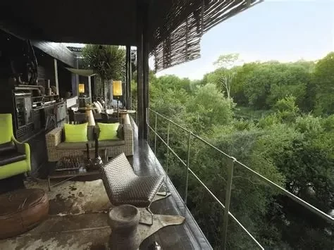 Hotels That Provide In-Room Forest Projection Walls | Tengerszem Hotels