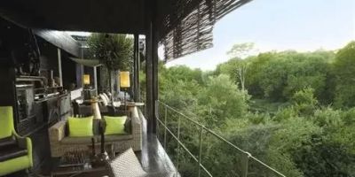 Hotels That Provide In-Room Forest Projection Walls | Tengerszem Hotels