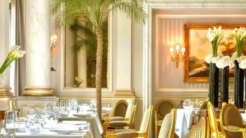 Best Hotels for Foodies: Culinary Experiences Onsite Worth Traveling For