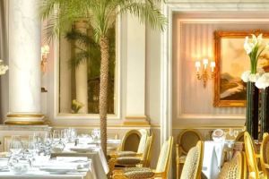 Best Hotels for Foodies: Culinary Experiences Onsite Worth Traveling For