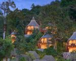 Hotels That Offer Immersive Forest Walks