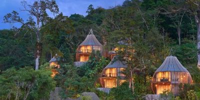Hotels That Offer Immersive Forest Walks