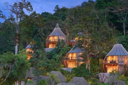 Hotels That Offer Immersive Forest Walks
