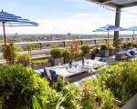 Hotels That Offer Rooftop Gardens in Cities