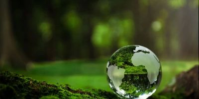 How Hotels Are Adapting to Climate Change: Sustainable Practices for the Future