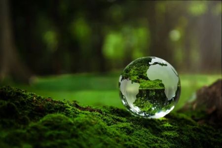 How Hotels Are Adapting to Climate Change: Sustainable Practices for the Future