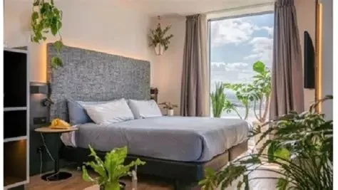 Discover the Most Stunning Hotels with In-Room Botanical Themes