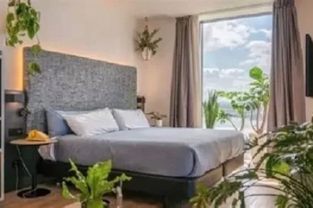 Discover the Most Stunning Hotels with In-Room Botanical Themes