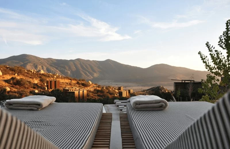 Hotels That Support Local Wildlife & Ecology: Eco-Friendly Stays for Conscious Travelers