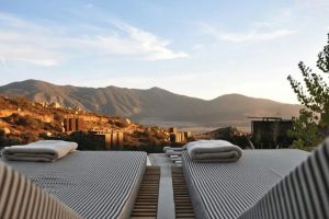 Hotels That Support Local Wildlife & Ecology: Eco-Friendly Stays for Conscious Travelers