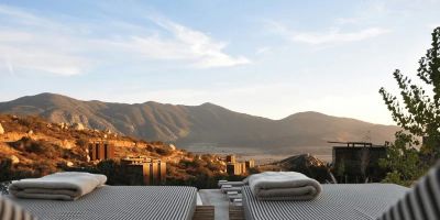 Hotels That Support Local Wildlife & Ecology: Eco-Friendly Stays for Conscious Travelers