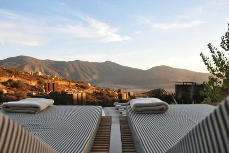 Hotels That Support Local Wildlife & Ecology: Eco-Friendly Stays for Conscious Travelers