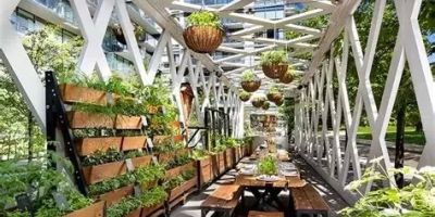 Hotels That Offer In-Room Herb Gardens – A Fresh Take on Sustainable Luxury