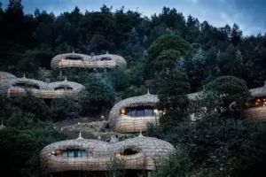 Boutique Hotels Around National Parks – Experience Nature in Style