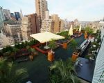 Hotels That Feature Rooftop Hydroponic Gardens for Sustainable Luxury Travel