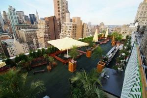 Hotels That Feature Rooftop Hydroponic Gardens for Sustainable Luxury Travel