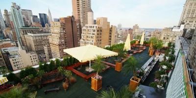 Hotels That Feature Rooftop Hydroponic Gardens for Sustainable Luxury Travel