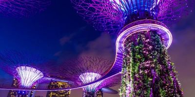 Hotels That Host Garden Light, Music, Story Walks