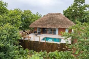 Hotels That Offer Immersive Forest Walks: A Unique Escape into Nature