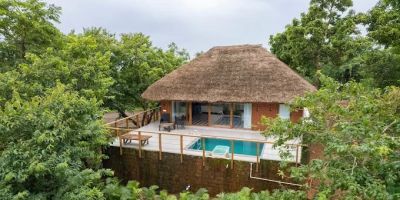 Hotels That Offer Immersive Forest Walks: A Unique Escape into Nature