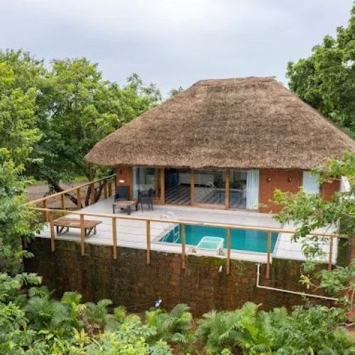 Hotels That Offer Immersive Forest Walks: A Unique Escape into Nature