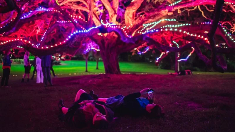 Hotels with Garden Sound & Light Events: Immersive Outdoor Experiences