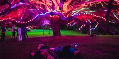 Hotels with Garden Sound & Light Events: Immersive Outdoor Experiences