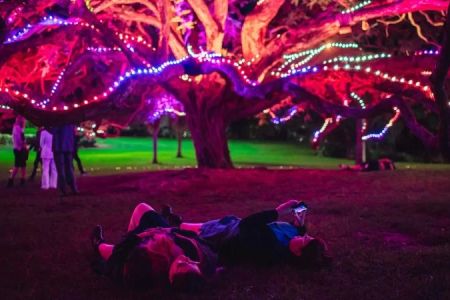 Hotels with Garden Sound & Light Events: Immersive Outdoor Experiences